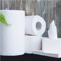 Paper Products and Dispensers