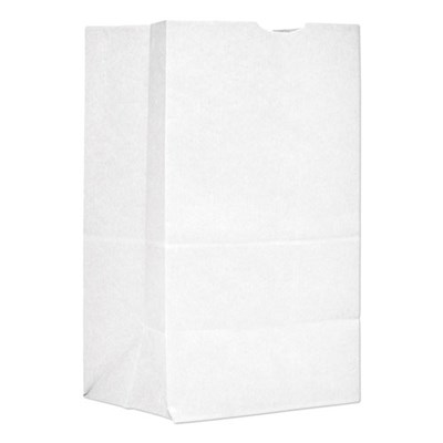 PAPER BAG WHITE 40 LB #20 500/BDL